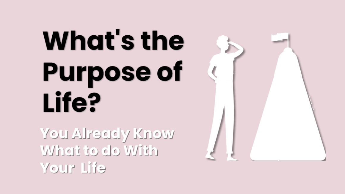 What's the purpose of life
