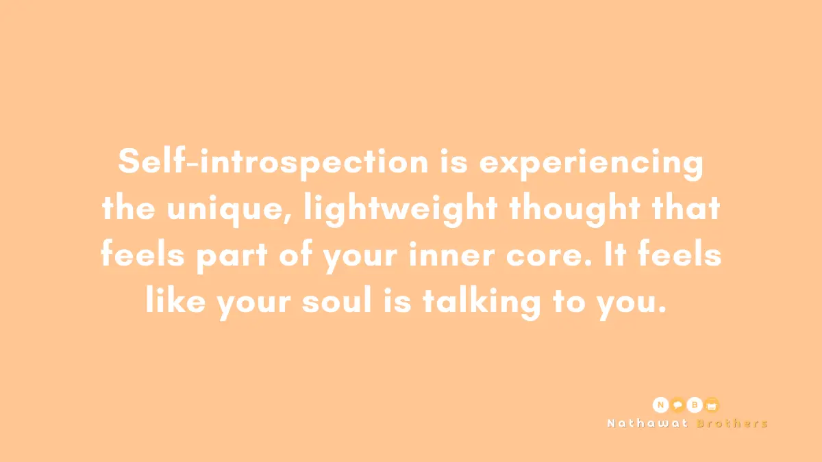 Self-introspection is experiencing the unique, lightweight thought