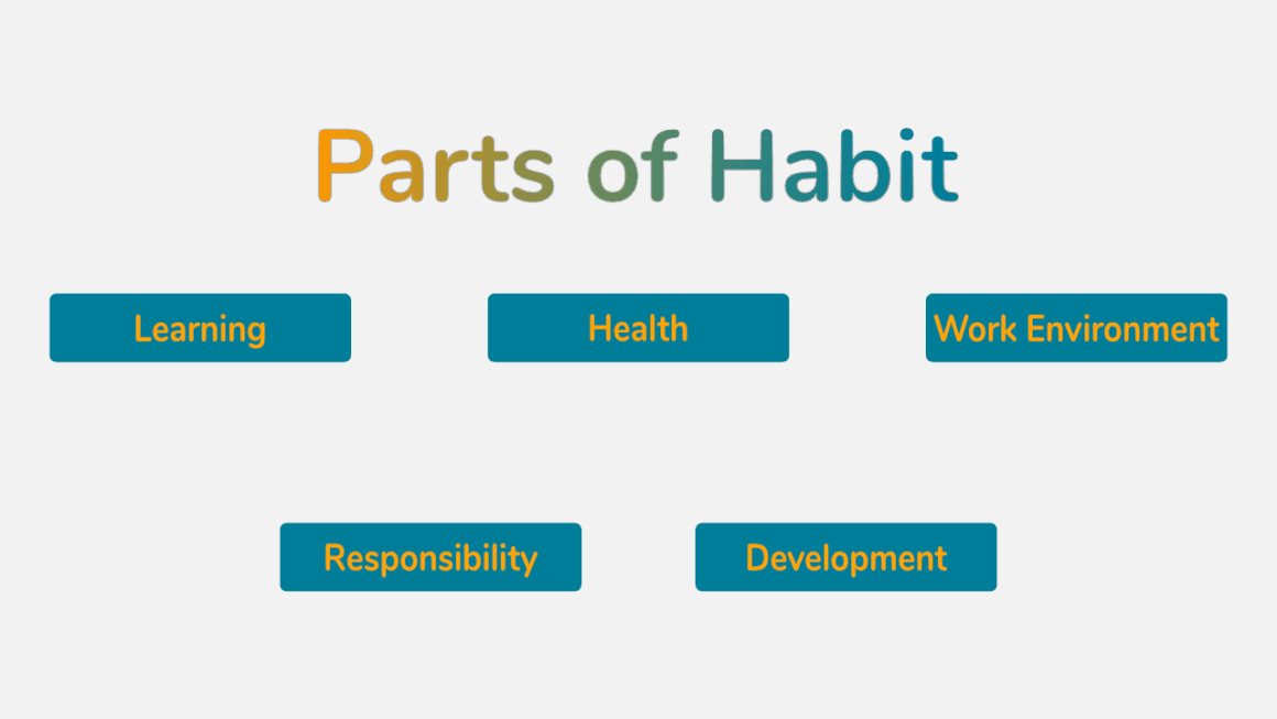 Role of habits in the definition of success.
