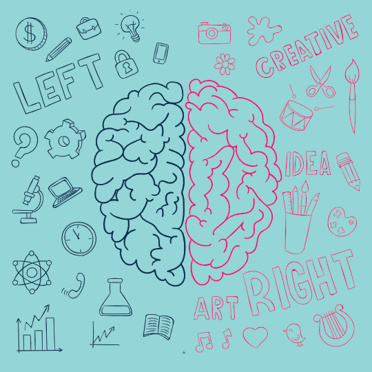 Balance between thinking and feeling brain