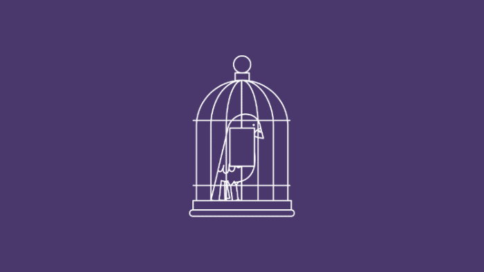 Cages or wings which do you prefer